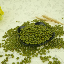 Green mung bean price